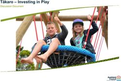 Tākaro - Investing in Play - Discussion Document - Auckland ...