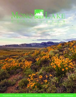 MONO LAKE Winter & Spring 2020