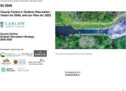Slí 2040 County Carlow's Outdoor Recreation Vision for 2040, and our Plan for 2023 - Carlow County ...