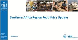 Southern Africa Region Food Price Update - 2020 March - WFP