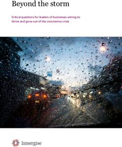 Beyond the storm Critical questions for leaders of businesses aiming to thrive and grow out of the coronavirus crisis - Innergise