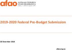 2019-2020 Federal Pre-Budget Submission - 20 December 2018 afao.org.au - Australian ...