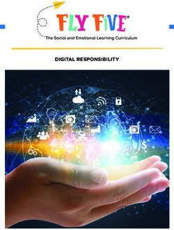 DIGITAL RESPONSIBILITY - Fly Five