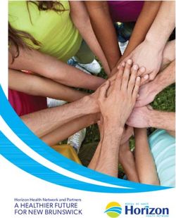 A HEALTHIER FUTURE FOR NEW BRUNSWICK - Horizon Health Network and Partners