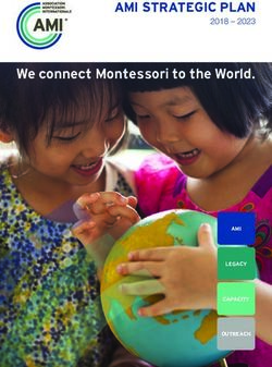 AMI STRATEGIC PLAN 2018 2023 - We connect Montessori to the World - Association Montessori Internationale