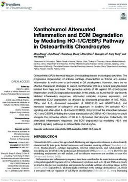 Xanthohumol Attenuated Inflammation and ECM Degradation by Mediating HO-1/C/EBPβ Pathway in Osteoarthritis Chondrocytes - Frontiers