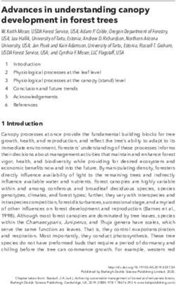 Advances in understanding canopy development in forest trees