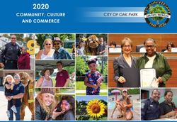 2020 COMMUNITY, CULTURE AND COMMERCE - CITY OF OAK PARK