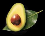 GEM Offers Bright Future - Grower Profile - California Avocado Commission