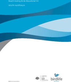 Beach-nesting Birds Educational Kit - SOUTH AUSTRALIA