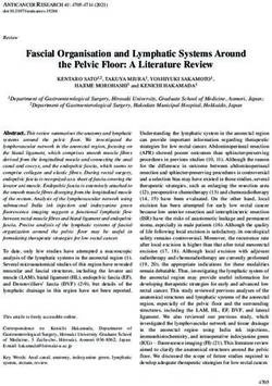 Fascial Organisation and Lymphatic Systems Around the Pelvic Floor: A Literature Review