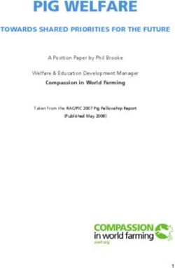 PIG WELFARE TOWARDS SHARED PRIORITIES FOR THE FUTURE - A Position Paper by Phil Brooke