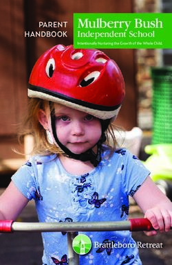 Mulberry Bush Independent School - PARENT HANDBOOK - Brattleboro Retreat