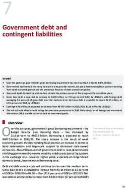 7 Government debt and contingent liabilities - National Treasury