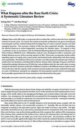 What Happens after the Rare Earth Crisis: A Systematic Literature Review - MDPI