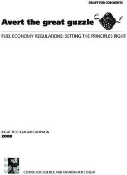 Avert the great guzzle - FUEL ECONOMY REGULATIONS: SETTING THE PRINCIPLES RIGHT 2008