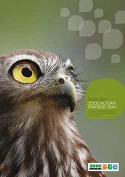 ZOOS VICTORIA STRATEGIC PLAN 2009-2029