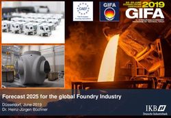 Forecast 2025 for the global Foundry Industry - Düsseldorf, June 2019 Dr. Heinz-Jürgen Büchner - Foundry Gate