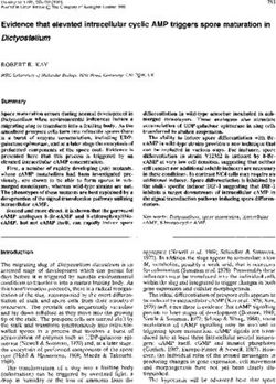 Evidence that elevated intracellular cyclic AMP triggers spore maturation in Dictyostelium
