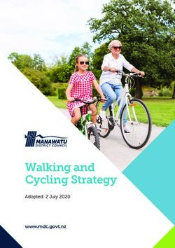 Walking and Cycling Strategy - www.mdc.govt.nz Adopted: 2 July 2020 - Manawatu District Council