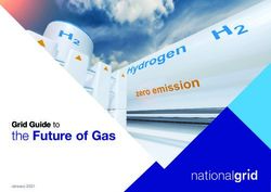 The Future of Gas Grid Guide to - January 2021 - National Grid