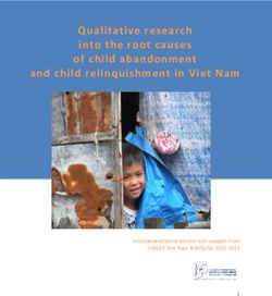 Qualitative research into the root causes of child abandonment and child relinquishment in Viet Nam