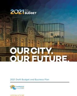 2021 Draft Budget and Business Plan - City of Cambridge
