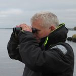 BTO Northern Ireland Birdwatchers' Conference - British Trust ...