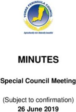 MINUTES Special Council Meeting 26 June 2019 - (Subject to confirmation) 26 00 2019