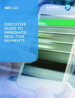 EXECUTIVE GUIDE TO IMMEDIATE/ REAL-TIME PAYMENTS - ACI ...