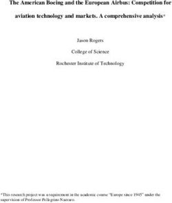 The American Boeing and the European Airbus: Competition for aviation technology and markets. A comprehensive analysis