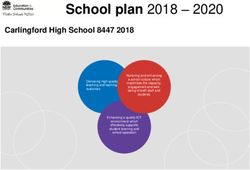 School plan 2018 2020 - Carlingford High ...