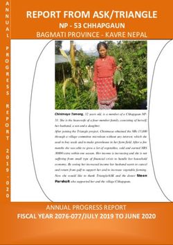 REPORT FROM ASK/TRIANGLE - NP - 53 CHHAPGAUN - trianglen