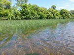 Billy Vue - DNR Intern and First Generation Student - files