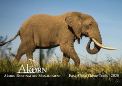 East Africa Game Trails | 2020 - Akorn Destination Management
