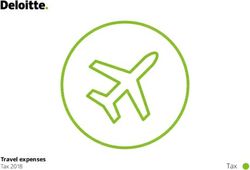 Travel expenses - Deloitte
