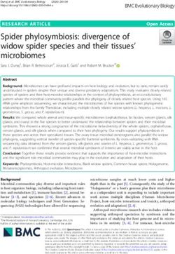 Spider phylosymbiosis: divergence of widow spider species and their tissues' microbiomes