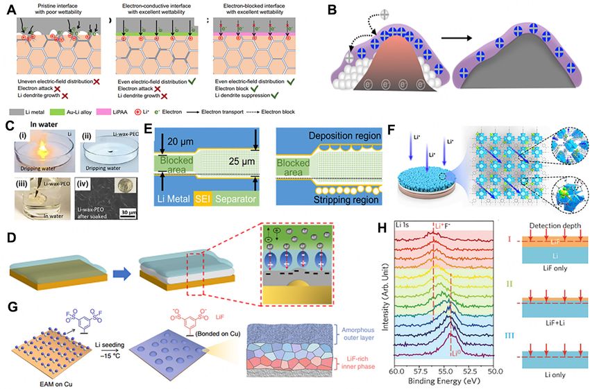 Lithium Metal Stabilization For Next-generation Lithium-based Batteries ...