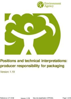 Positions and technical interpretations: producer responsibility for packaging - Version: 1.19