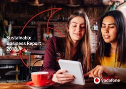 Sustainable Business Report 2018 - Vodafone Group Plc