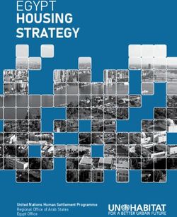 EGYPT HOUSING STRATEGY - United Nations Human Settlement Programme Regional Office of Arab States Egypt Office - UN-Habitat