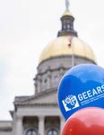 2020 Georgia Voter Guide - on Early Care and Learning - GEEARS