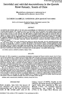 Intertidal and subtidal macroinfauna in the Queule River Estuary, South of Chile
