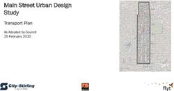 Main Street Urban Design Study - Transport Plan As Adopted by Council 25 February 2020 - City of Stirling