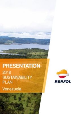 PRESENTATION 2018 SUSTAINABILITY PLAN Venezuela - Repsol