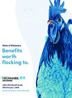 Benefits worth flocking to - State of Delaware - 2020-2021 Benefit Guide Effective July 1, 2020 Customer Service: 1-844-459-6452