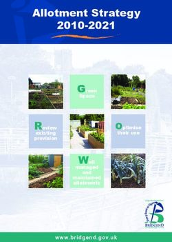 Allotment Strategy 2010-2021 - Well Green - Bridgend County ...