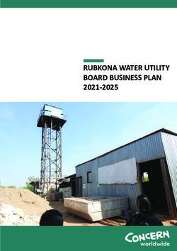 RUBKONA WATER UTILITY BOARD BUSINESS PLAN 2021-2025