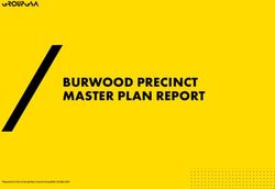 BURWOOD PRECINCT MASTER PLAN REPORT - Canada ...