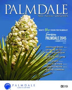 Summer 2019 - VOLUNTEER SPOTLIGHT STREETLIGHT UPDATE PAGE 9 FIREWORKS SAFETY PAGE 10 - City of Palmdale